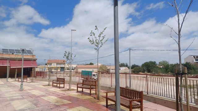 Diez árboles de gran porte embellecerán y proporcionarán sombra en el jardín del Centro Cultural de Los Martínez del Puerto