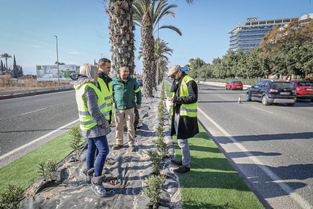 El Ayuntamiento acondiciona la mediana de Ronda Sur en el tramo entre Patiño y la rotonda de la avenida de Santa Catalina