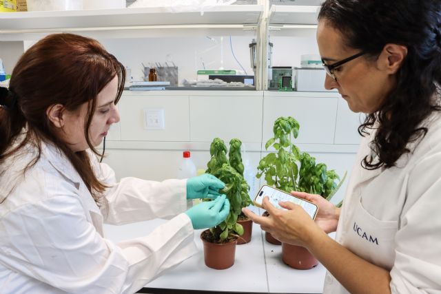 UCAM-SENS desarrolla un sensor que visualiza en tiempo real el estado integral de las plantas