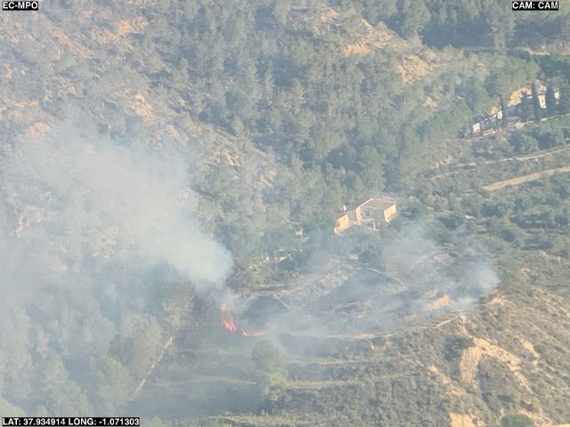 Incendio forestal en el camino Los Serranos, zona en el Garruchal