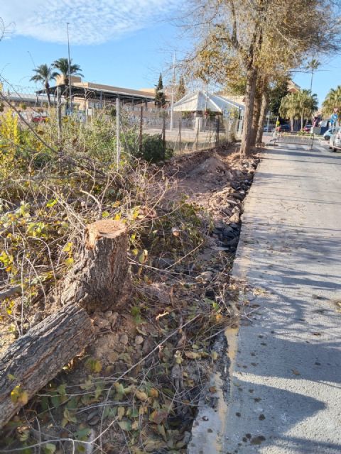 Indignación en Espinardo ante el inicio de la tala de árboles en Teniente Montesinos