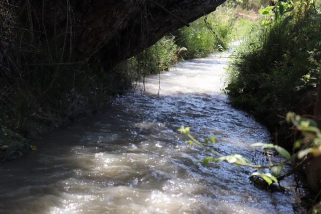 Huermur reclama a la CHS un caudal ecológico en las acequias de la Huerta de Murcia para evitar daños medioambientales