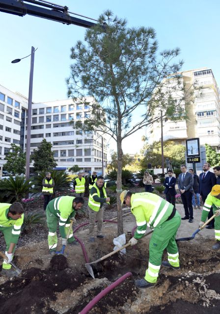 Murcia rinde homenaje al 'Apóstol del Árbol' con la plantación de un pino carrasco en la entrada a la ciudad