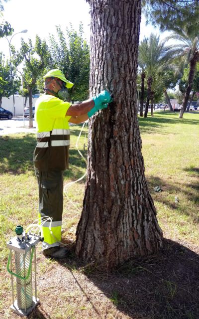 El Ayuntamiento protege más de 830 pinos contra posibles plagas de procesionaria a través de la endoterapia