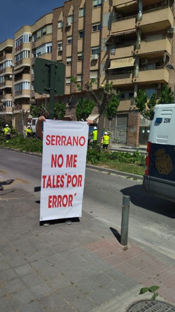 URGENTE: Comienza la tala de árboles en calle Industria. Continúa el arboricidio en Murcia