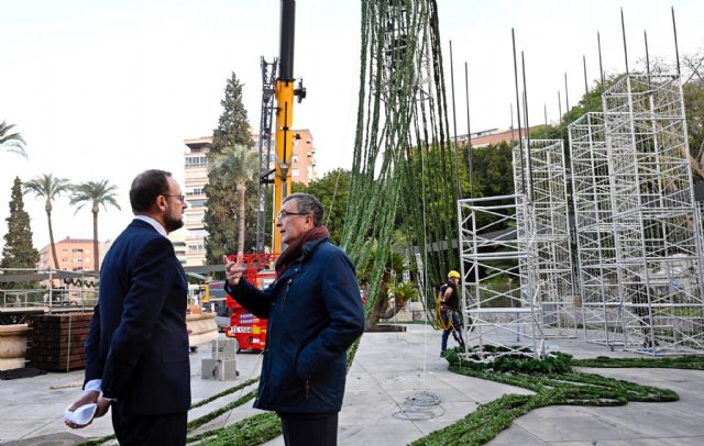 Comienza el montaje de los 35m del Gran Árbol de Navidad que dará luz al inicio de estas fiestas el 6 de diciembre